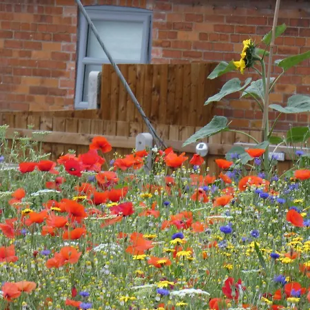 The Cow 'Ouse, Wolds Way Holiday Cottages, 1 Bed Cottage Little Weighton Buitenkant foto
